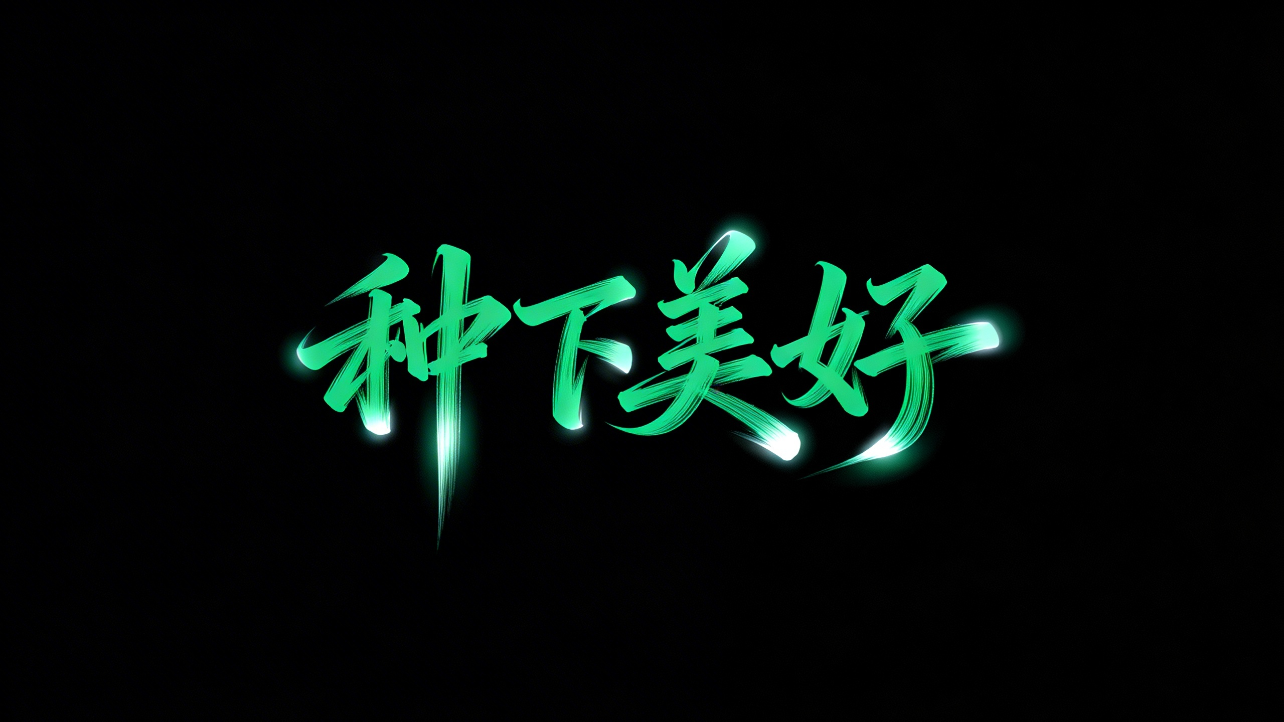 种下美好