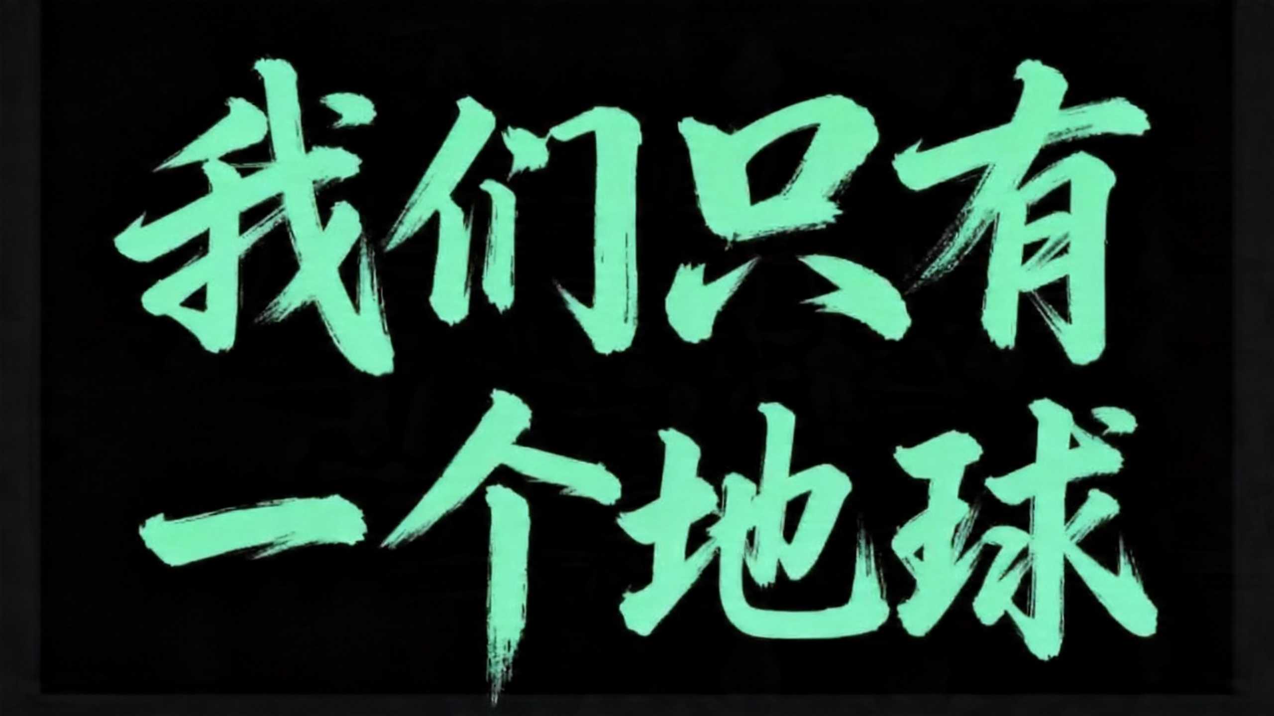 我们只有